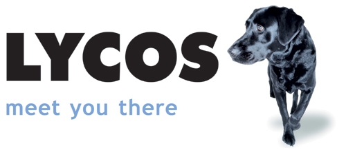Suchbegriffe bei Lycos im Jahr 2000
