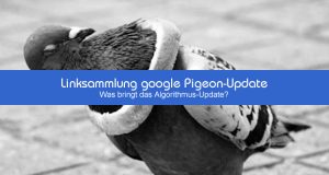 google Pigeon-Update